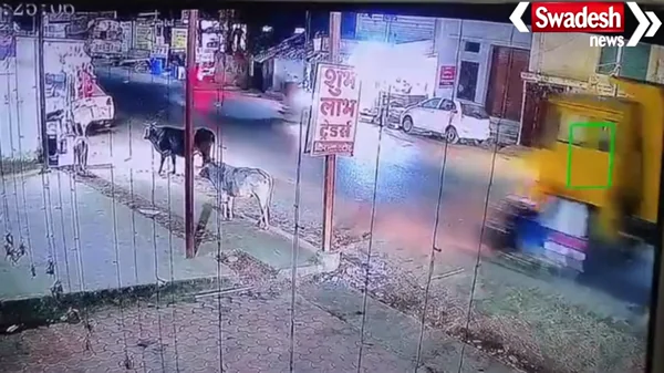 Ambikapur Hit-and-Run