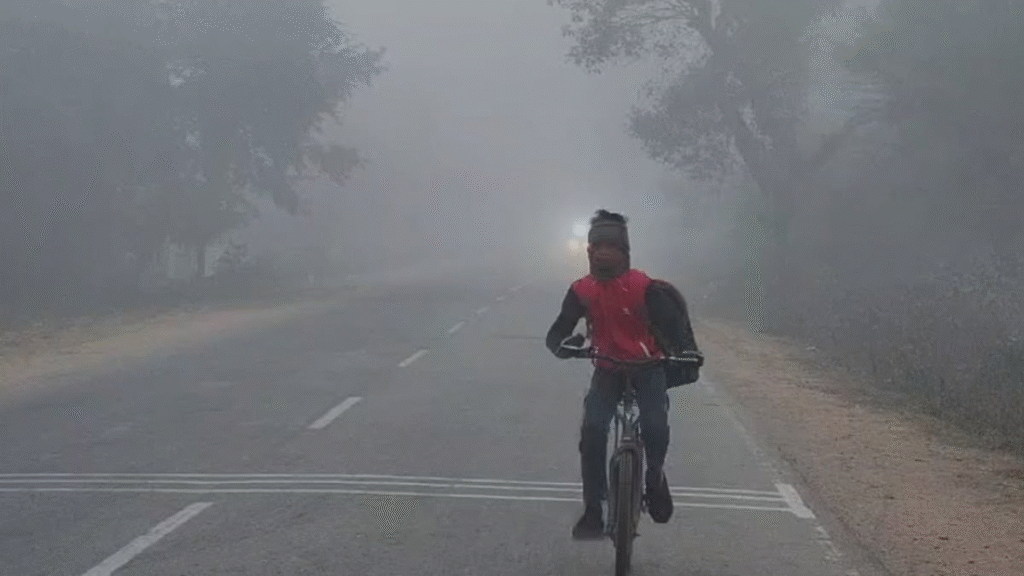 MP Cold Weather Update