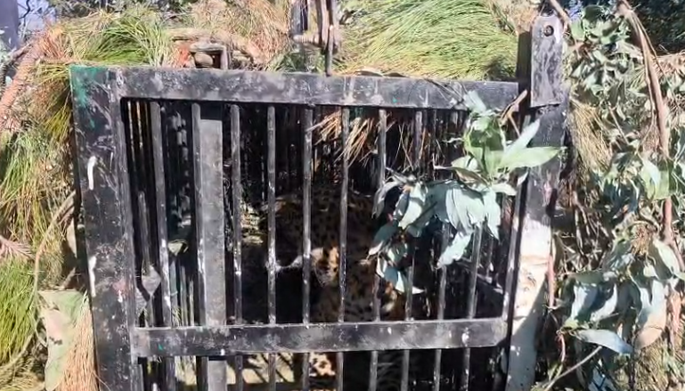 dhari block nainital 14 January
