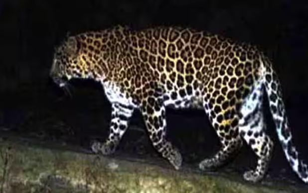 dhari block nainital 14 January