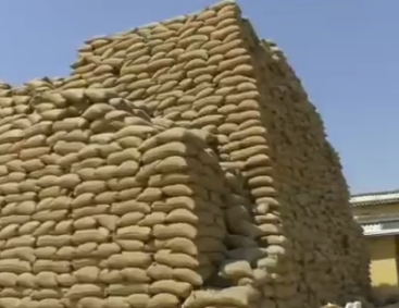 Balrampur Missing Paddy