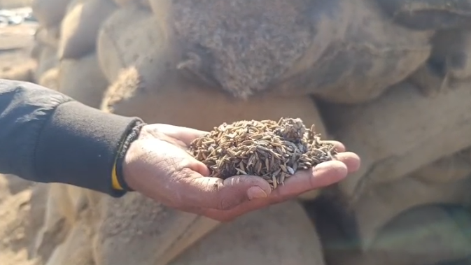 Chhattisgarh Grain Spoilage