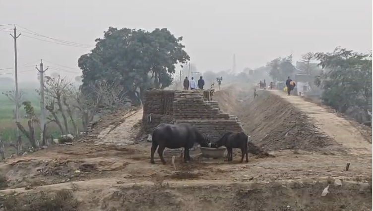 Munger Irrigation Project