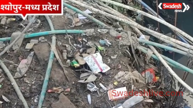 sheopur news 19 january