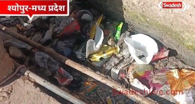 sheopur news 19 january