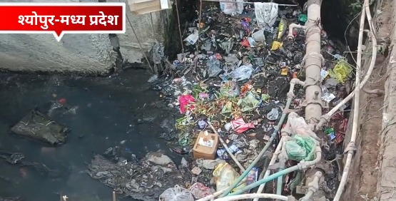 sheopur news 19 january