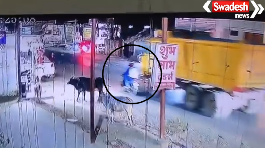 Ambikapur Hit-and-Run