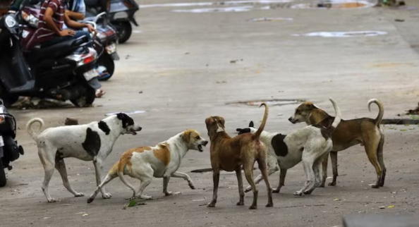 SupremeCourt 7 January: