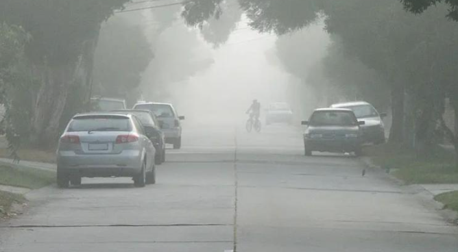 MP News 8 January 2026