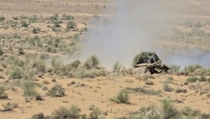 Pakistan intruder arrested