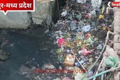 sheopur news t19 january