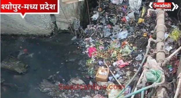 sheopur news t19 january