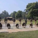 Police Firing Practice: Target practice was conducted for all officers in BMP-07