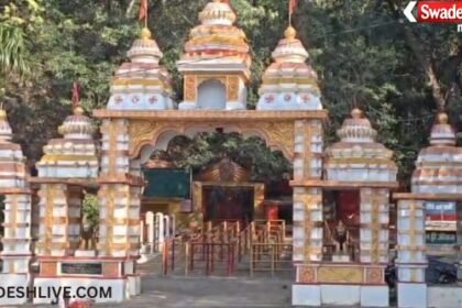 Ropeway Project Approval: Ropeway approved in Kudargarh Devi Dham