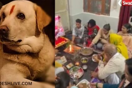 Pet Dog Last Rites Agra: An example of animal love in Agra