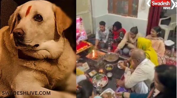 Pet Dog Last Rites Agra: An example of animal love in Agra