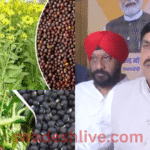 MP agriculture year