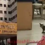 MY Hospital Indore News