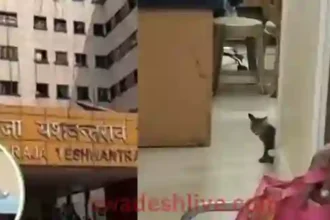 MY Hospital Indore News