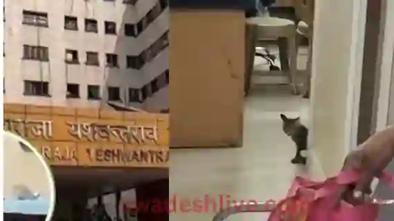 MY Hospital Indore News