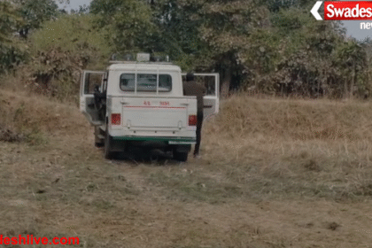 Bandhavgarh National Park