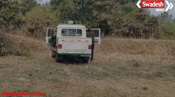 Bandhavgarh National Park