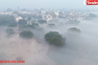 MP Fog Alert