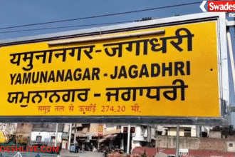 Kalanaur
