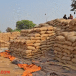 Bemetara Paddy Procurement
