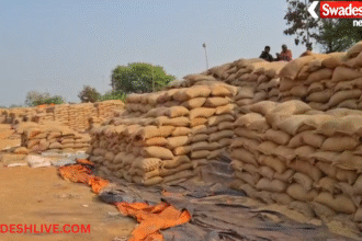 Bemetara Paddy Procurement