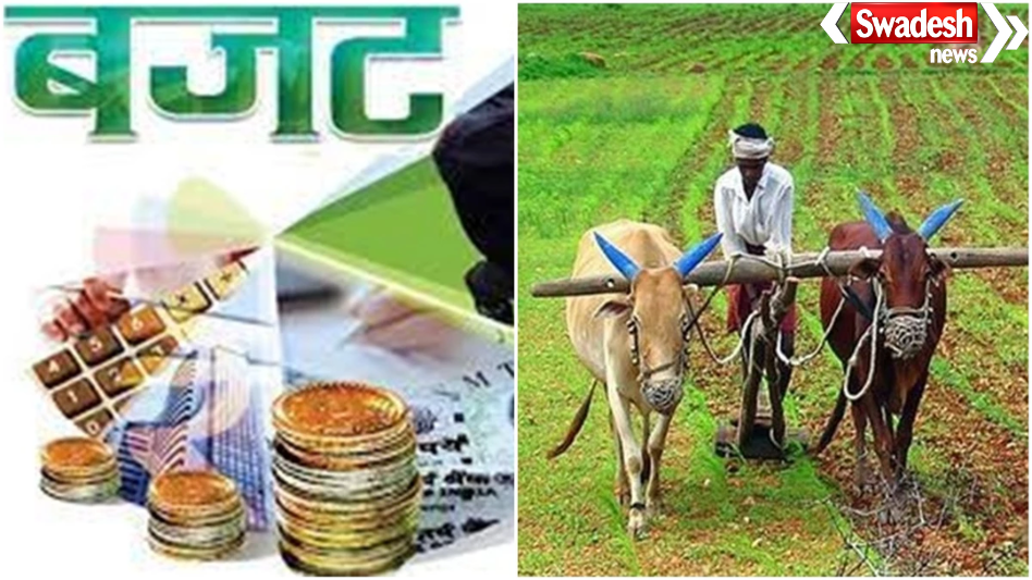 MP Agriculture Budget