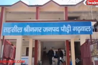 Pauri News