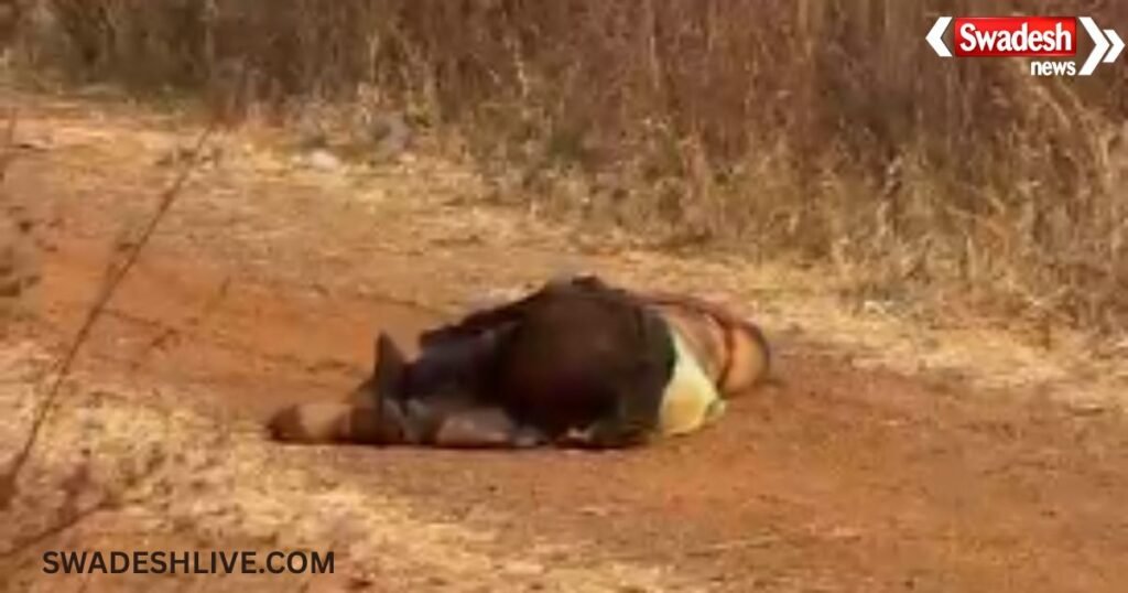 Raipur Murder Mystery