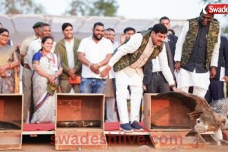 Vulture conservation MP