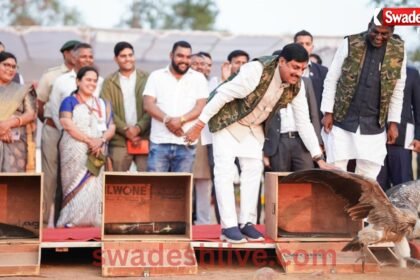 Vulture conservation MP