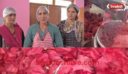 uttarakhand news today