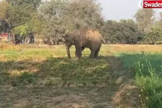 Aurangabad