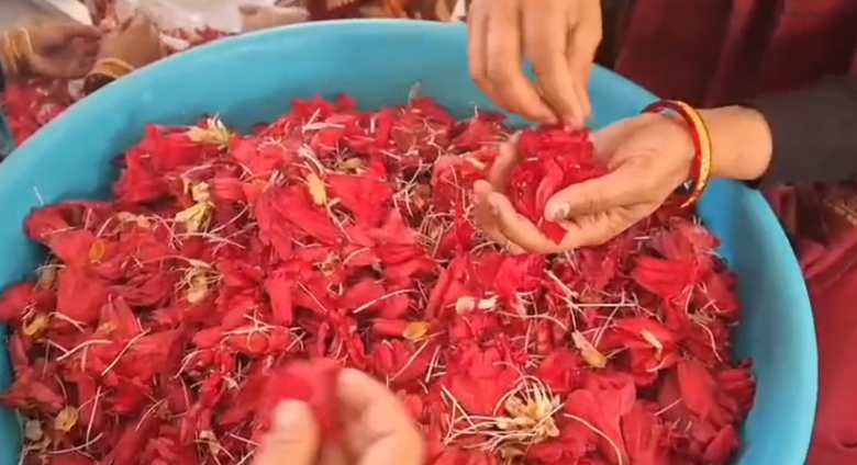 uttarakhand news today 