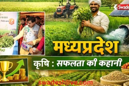 Agriculture Success Story