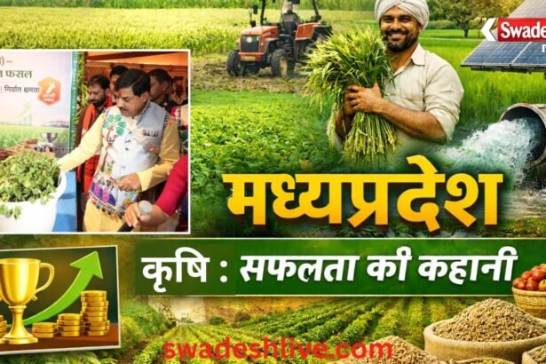 Agriculture Success Story