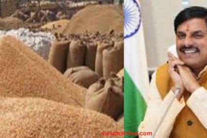 MP Wheat Registration