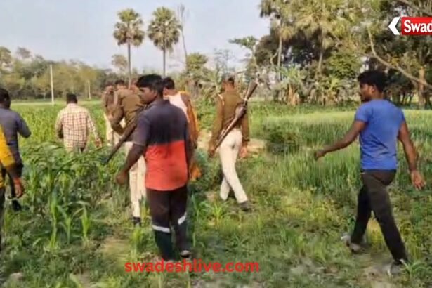 Missing children Bihar