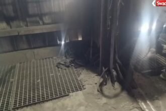 Missing Employee Case: RKM Power Plant employee missing in Sakti