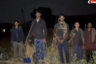 Naxal Surrender: 15 Naxalites surrender in Mahasamund