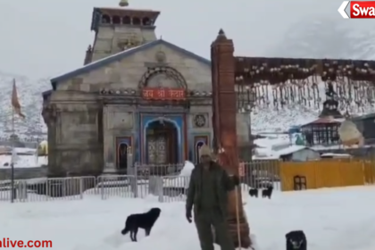 Kedarnath snow