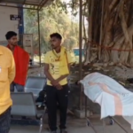 Sasaram monkey attack