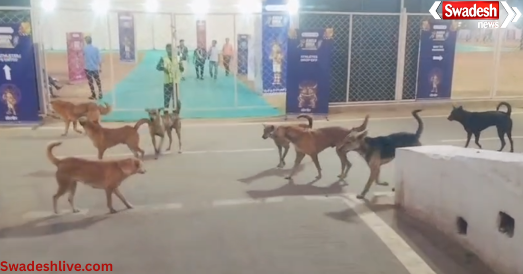 Ambikapur National Tribal Games