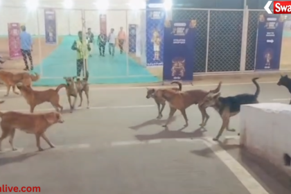 Ambikapur National Tribal Games