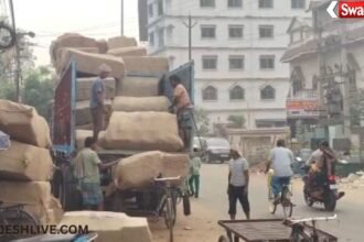 Transport Warehouse Safety