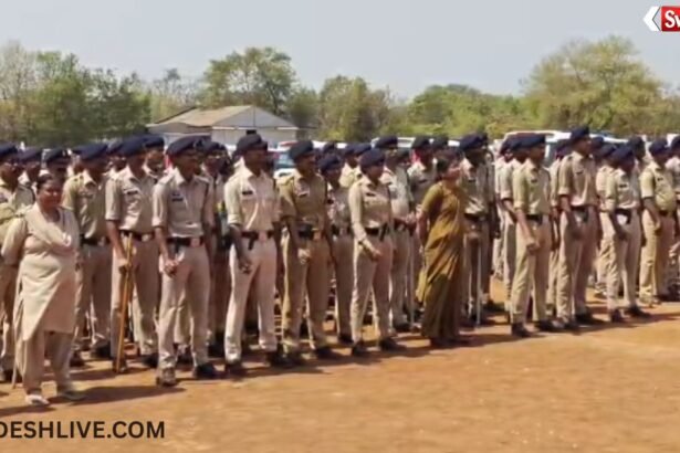 Emergency Services During Holi: Ambedkar Hospital